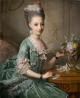  Sofia Frederikke af Mecklenburg-Schwerin, Arveprinsessa af Danmark